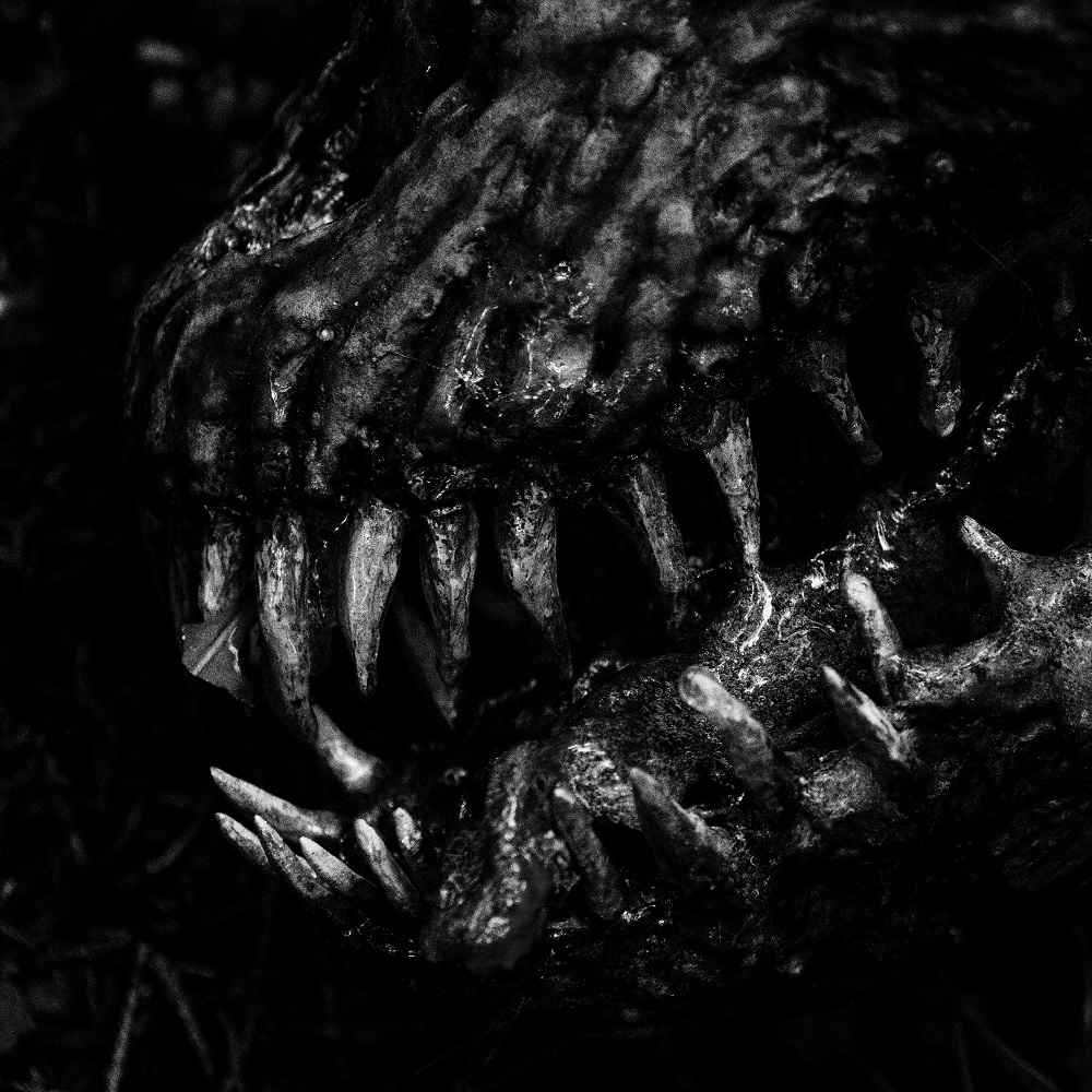 Anacondaz поведали о "хорошей стороне"